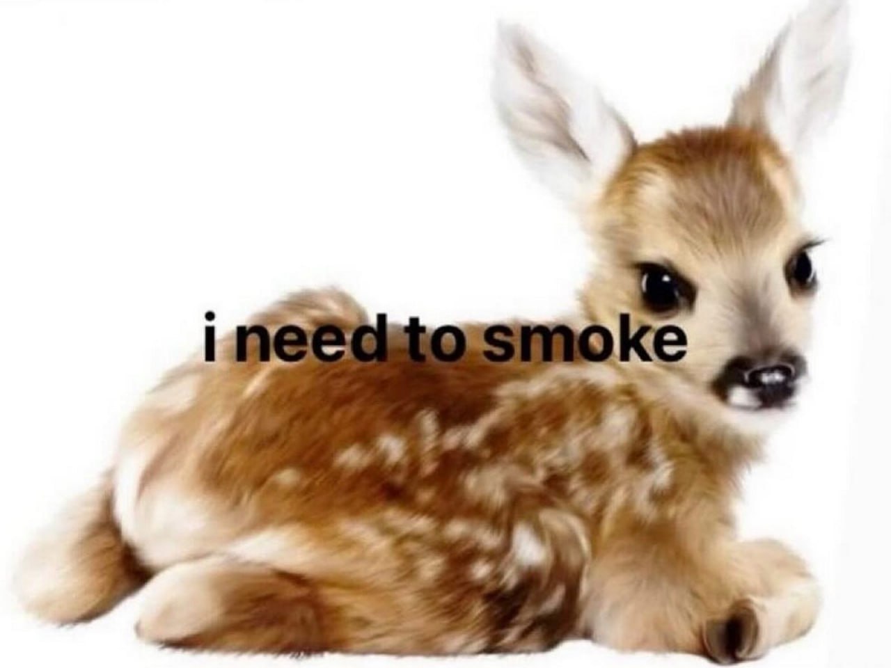 Мне нужно покурить олененок Маленький олененок с надписью «i need to smoke»