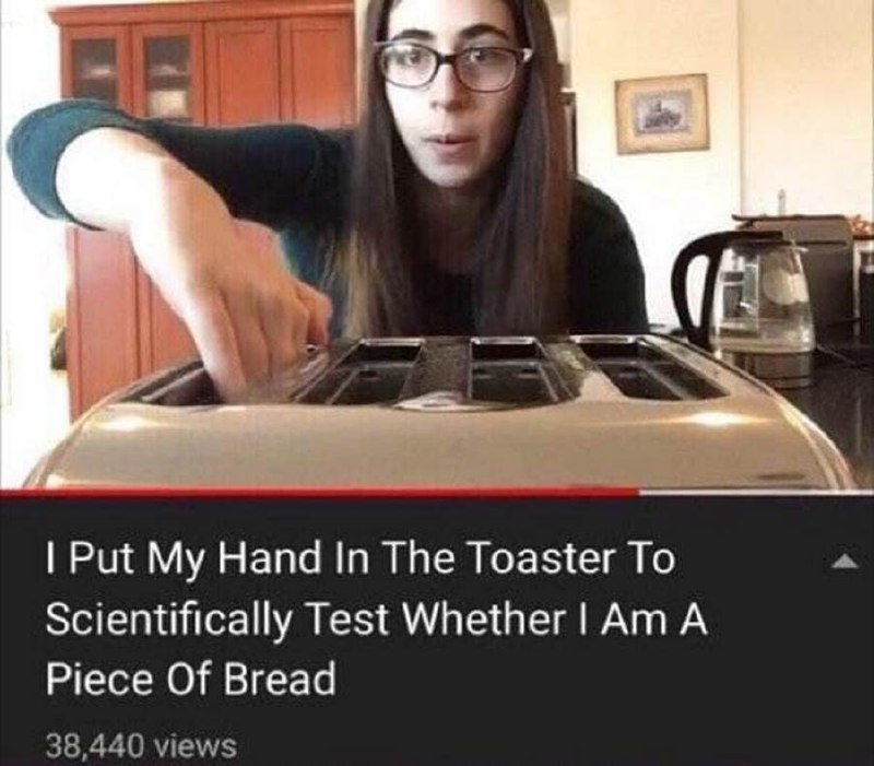 I Put My Hand In The Toaster To Scientifically Test Whether I Am A Piece Of Bread Мем, изображающий девушку, которая засовывает руку в тостер, чтобы проверить, является ли она кусочком хлеба. На картинке видно название видео и количество просмотров.