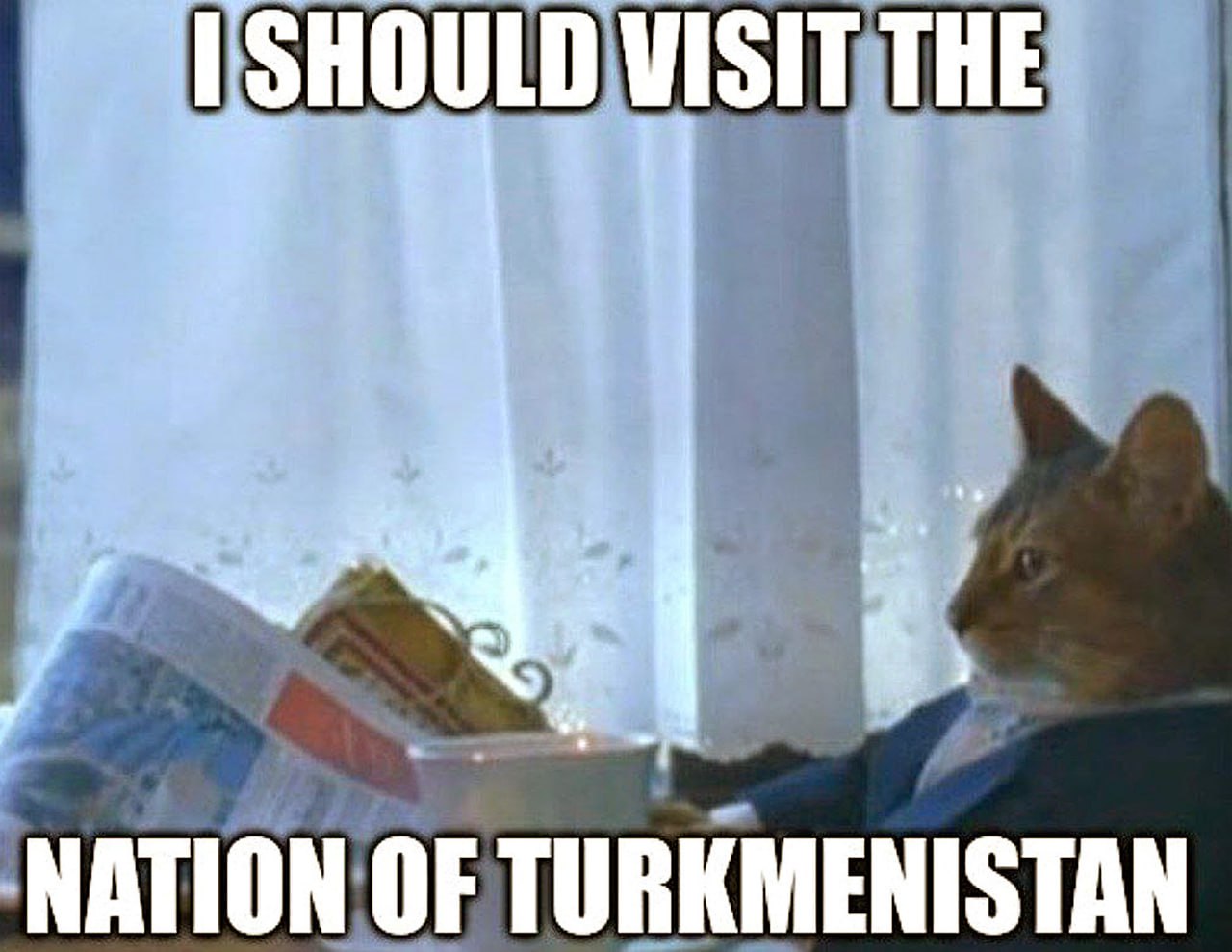 I should visit the nation of Turkmenistan Кот в костюме, сидящий у окна и размышляющий о Туркменистане.