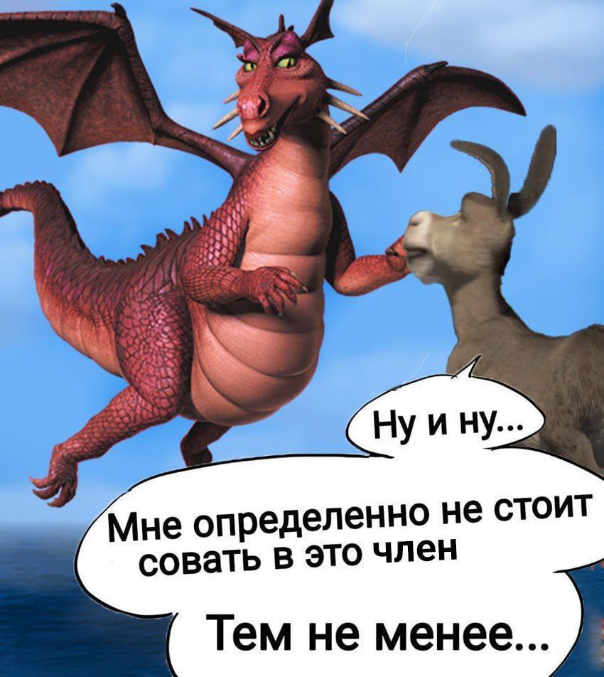 Мне определенно не стоит совать в это член. Тем не менее... Мем про Осла и Дракониху из "Шрека" со словами "Ну и ну... Мне определенно не стоит совать в это член. Тем не менее..."