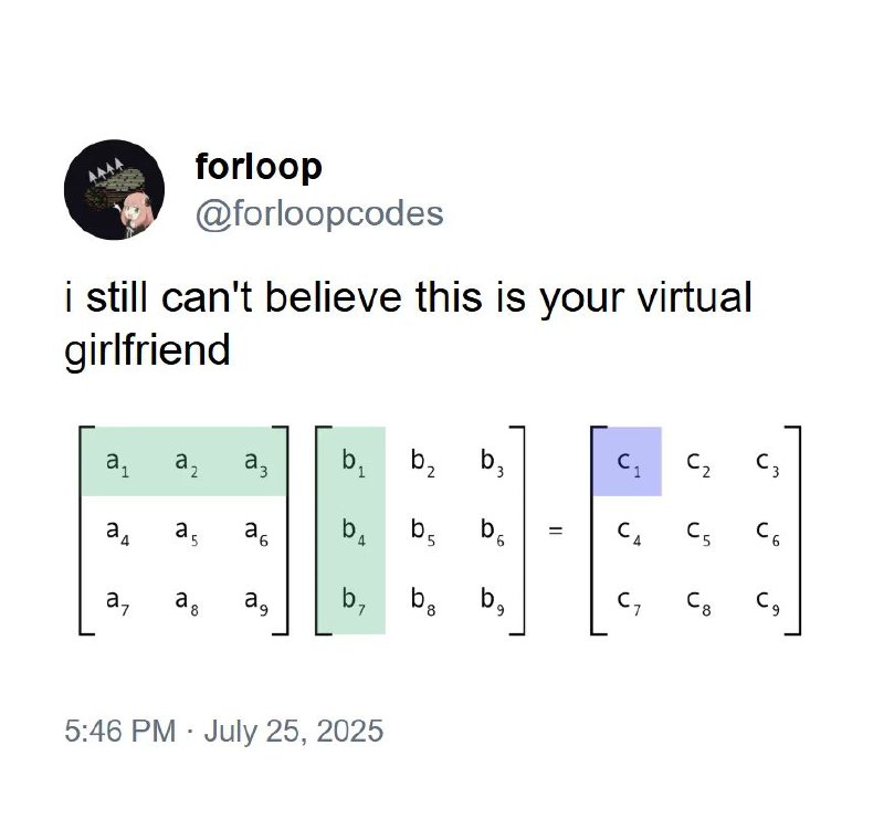 I still can't believe this is your virtual girlfriend Математический мем с умножением матриц и надписью "i still can't believe this is your virtual girlfriend".