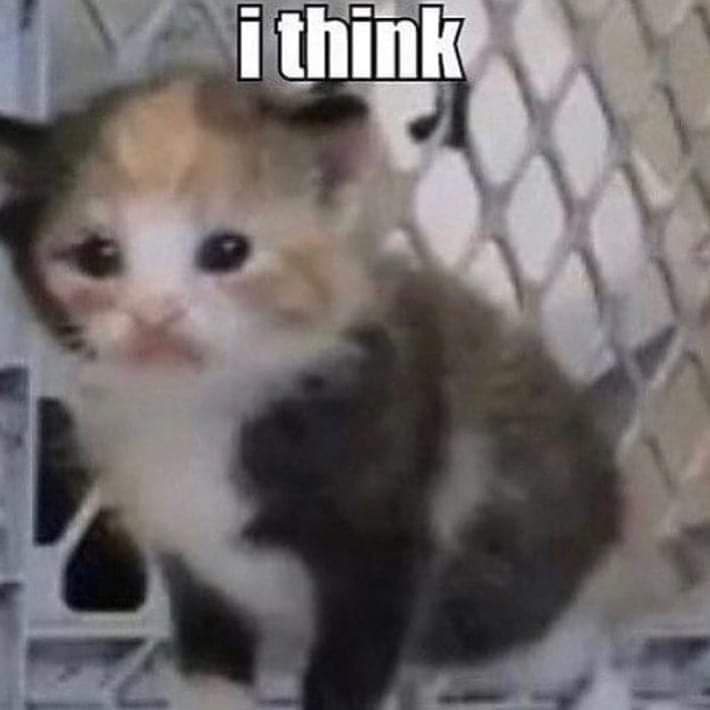 I think грустный котенок Мем с грустным котенком и надписью «I think»