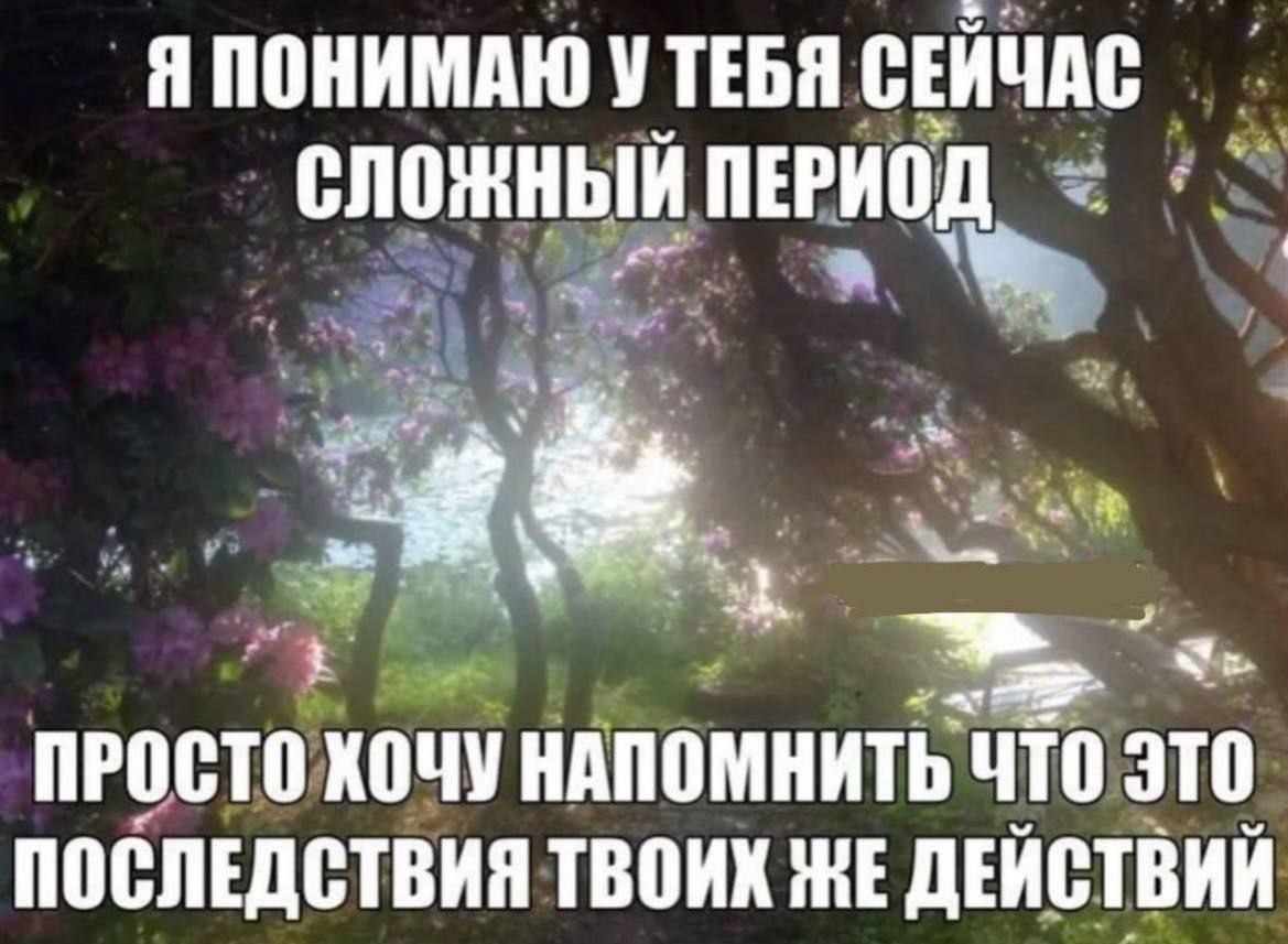 Я понимаю, у тебя сейчас сложный период Я понимаю, у тебя сейчас сложный период, но это последствия твоих же действий