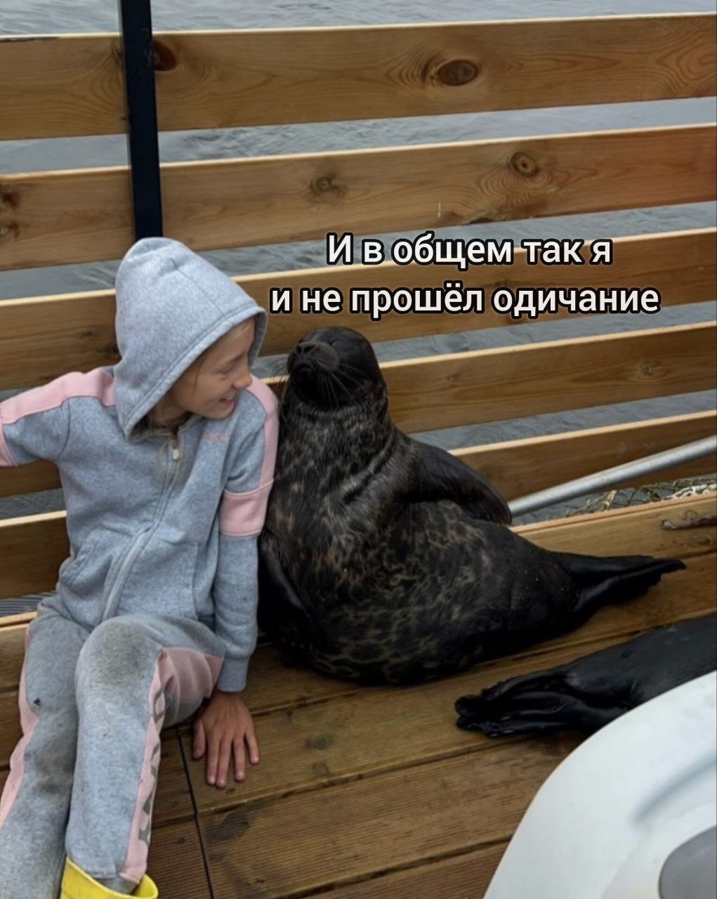 И в общем так я и не прошёл одичание Морской котик сидит рядом с ребёнком на деревянном пирсе с подписью «И в общем так я и не прошёл одичание»