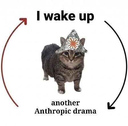 Кот в шапочке из фольги с надписью «I wake up another Anthropic drama» и стрелками по кругу.