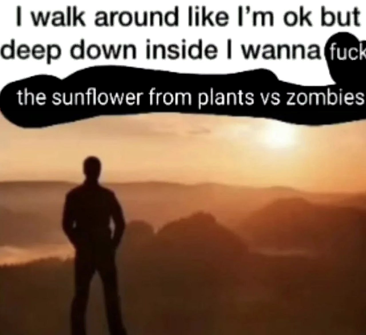 I walk around like I'm ok but deep down inside I wanna fuck the sunflower from plants vs zombies Мем с фразой I walk around like I'm ok but deep down inside I wanna fuck the sunflower from plants vs zombies