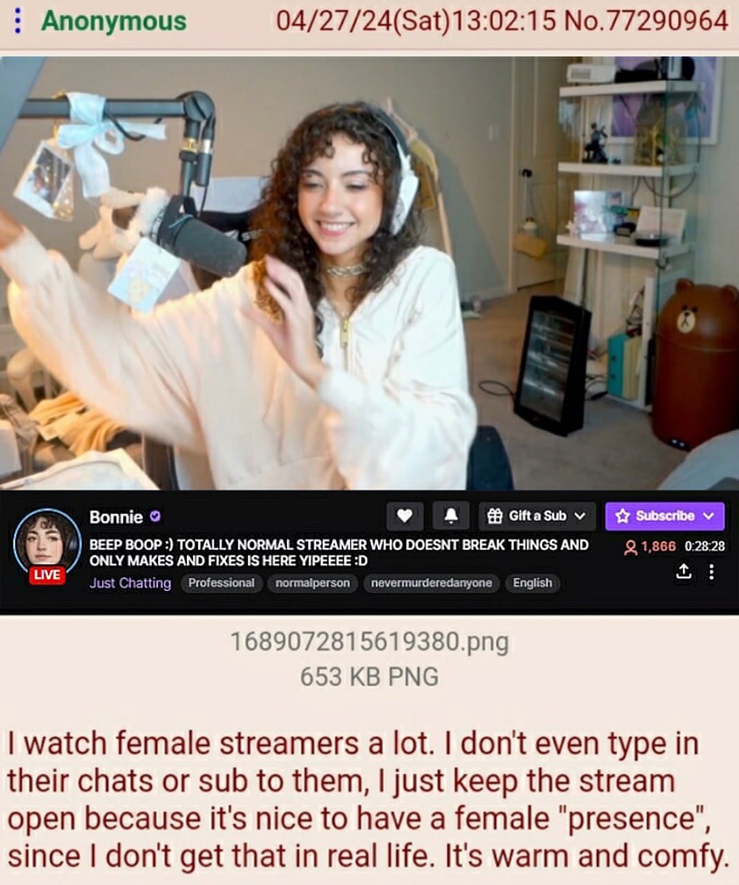 I watch female streamers a lot Мем про анонимного пользователя, который смотрит женские стримы для "женского присутствия"