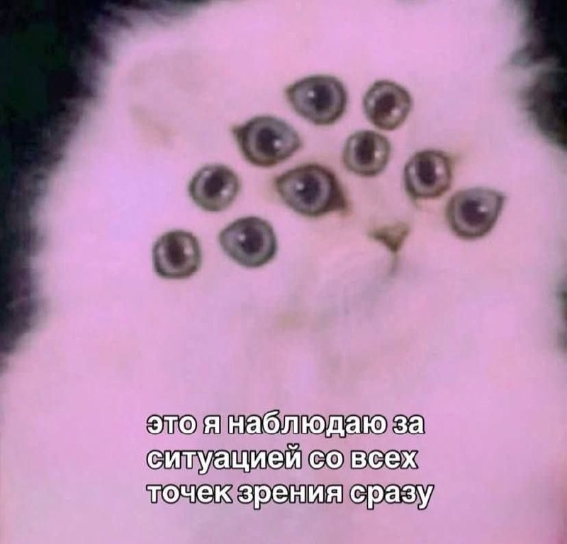 Пушистый кот с множеством глаз и подписью: «Это я наблюдаю за ситуацией со всех точек зрения сразу».