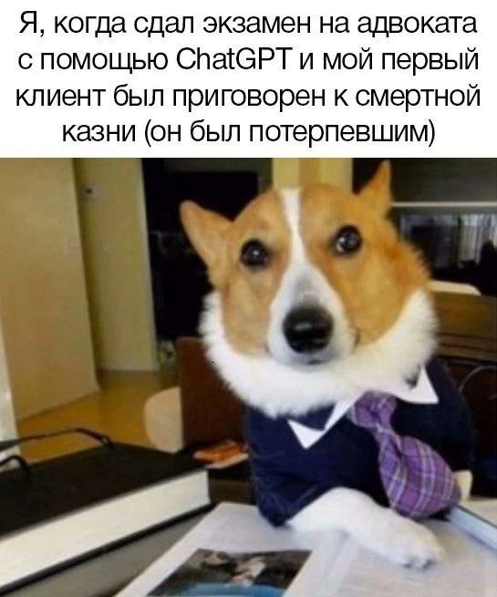 Я, когда сдал экзамен на адвоката с помощью ChatGPT Корги в деловом костюме, изображающий адвоката, который сдал экзамен с помощью ChatGPT и чей первый клиент был приговорен к смертной казни