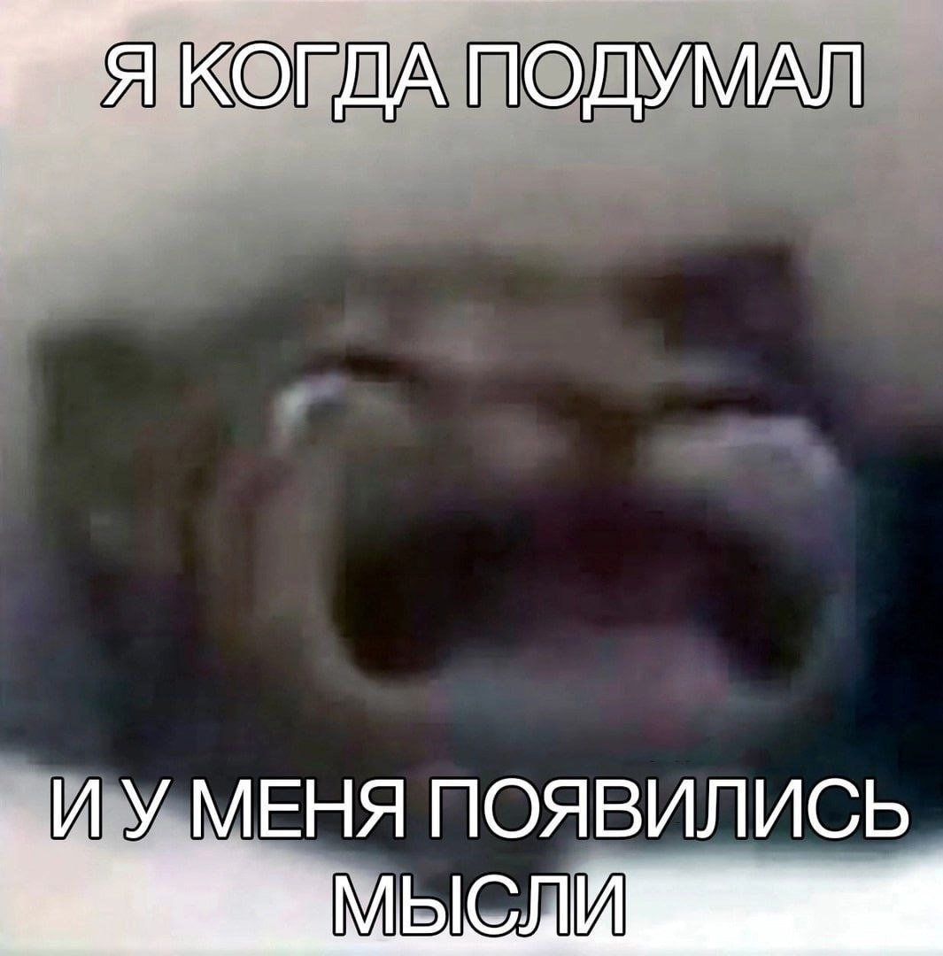 Я когда подумал и у меня появились мысли Мем с кричащим животным, который олицетворяет момент, когда у человека появляются мысли после долгого отсутствия.