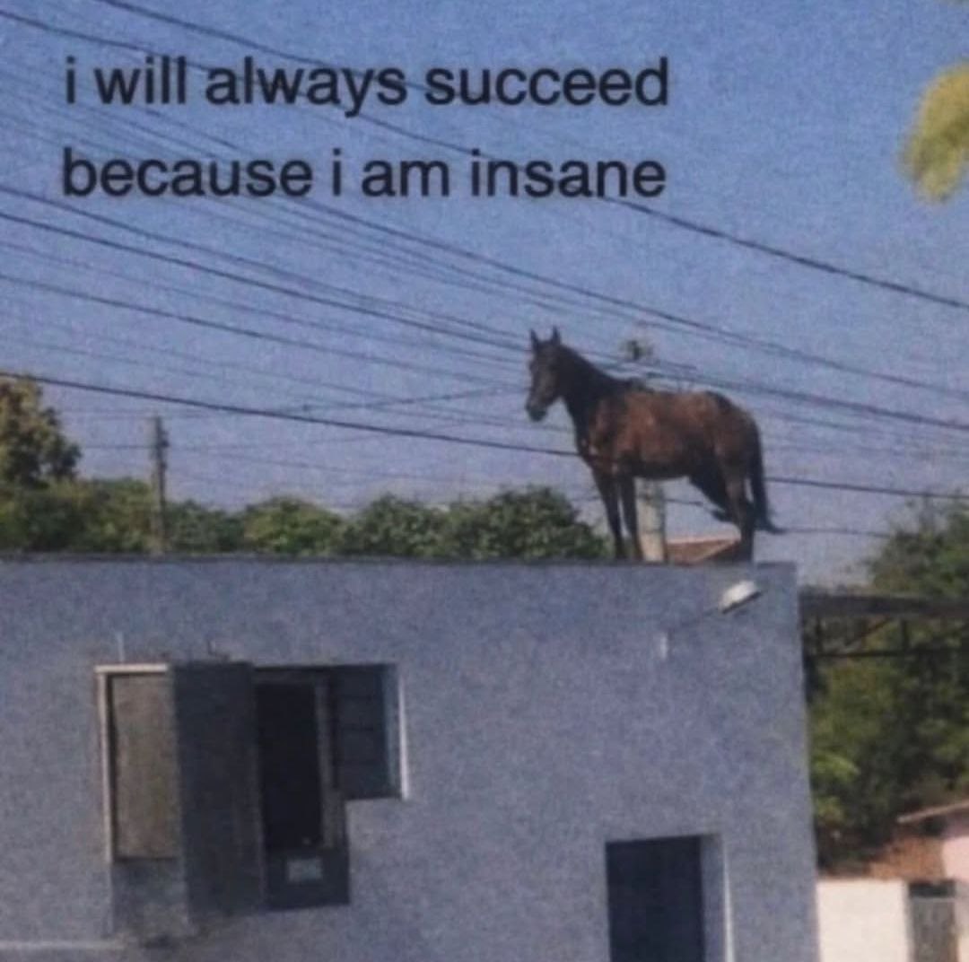 Лошадь стоит на крыше дома под надписью «I will always succeed because I am insane» — «Я всегда буду преуспевать, потому что я безумный».