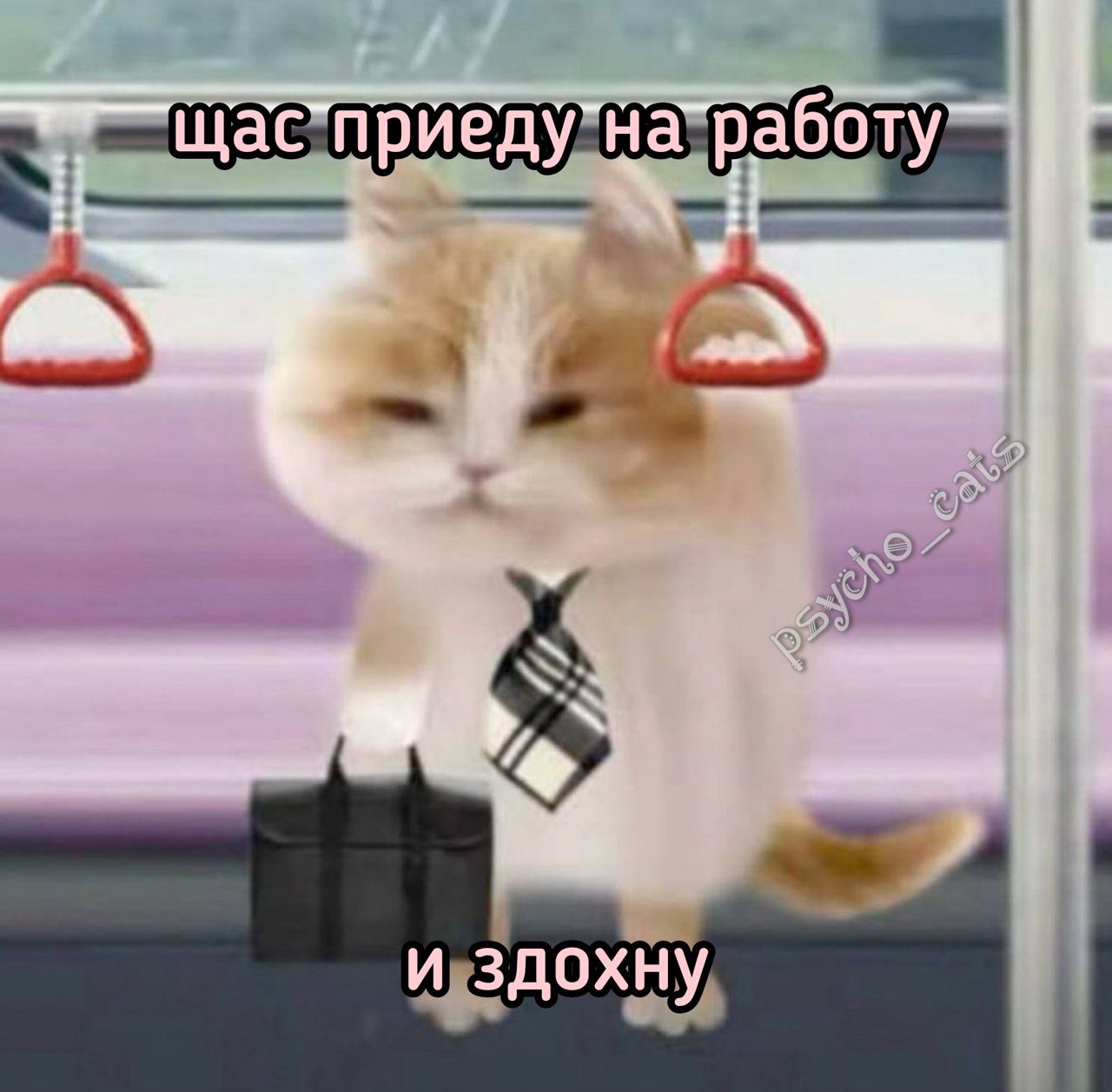 Щас приеду на работу и сдохну Кот в галстуке с портфелем едет в метро с подписью "щас приеду на работу и сдохну".
