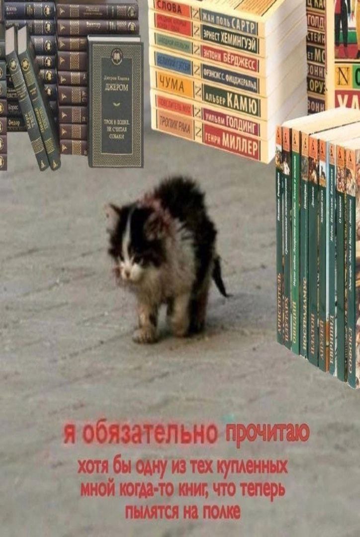 Я обязательно прочитаю хотя бы одну из тех купленных мной когда-то книг Котёнок на фоне стопок книг и надпись "Я обязательно прочитаю хотя бы одну из тех купленных мной когда-то книг, что теперь пылятся на полке"