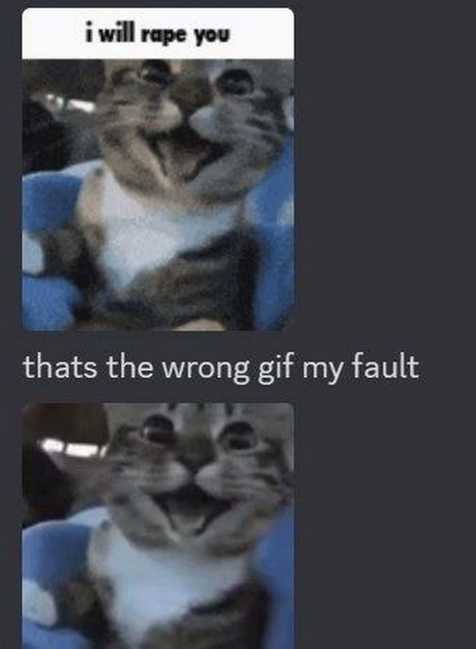 I will rape you cat Кот, который прислал «I will rape you», а затем «thats the wrong gif my fault»