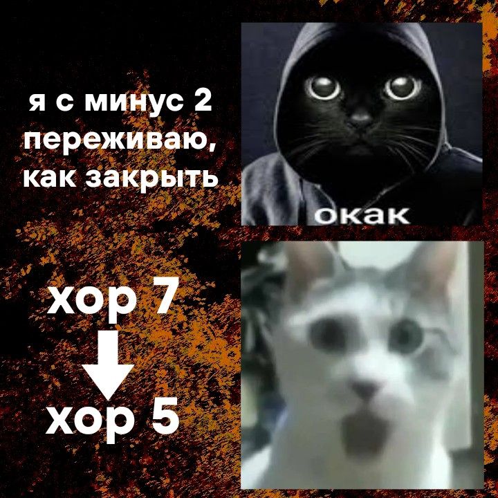 Я с минус 2 переживаю, как закрыть Мем с котом в худи и удивленным котом, обсуждающим закрытие долга с минус 2 и хор 7 на хор 5.