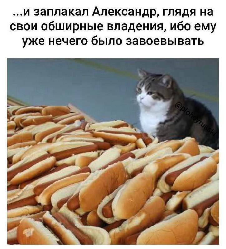 И заплакал Александр, глядя на свои владения Кот смотрит на гору хот-догов и грустит, потому что ему больше нечего есть