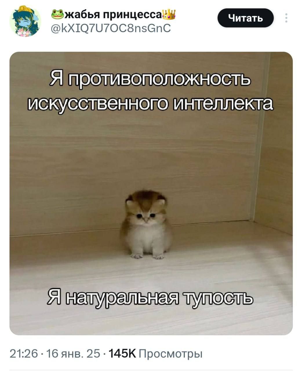 Я натуральная тупость Маленький пушистый котенок сидит на полу с подписью "Я натуральная тупость"