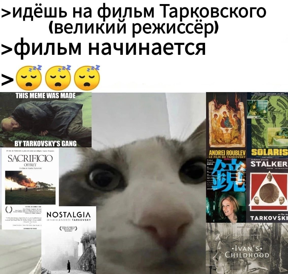 Идёшь на фильм Тарковского Когда пошел на фильм Тарковского и уснул