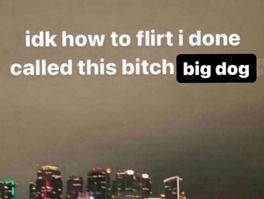 Idk how to flirt i done called this bitch big dog Мем "idk how to flirt i done called this bitch big dog"