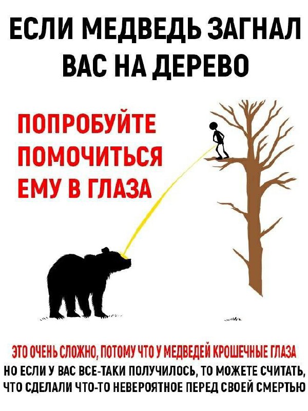 Если медведь загнал вас на дерево помочитесь ему в глаза Медведь загнал человека на дерево, а тот пытается помочиться ему в глаза