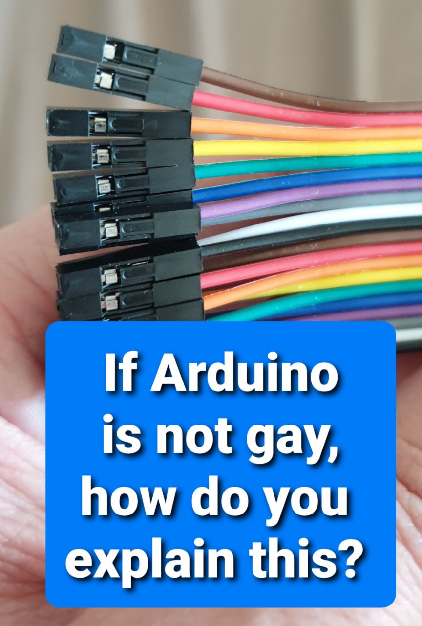 Разноцветные провода с разъемами и надписью: «If Arduino is not gay, how do you explain this?»