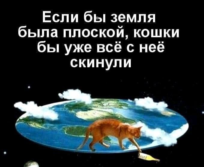 Если бы земля была плоской, кошки бы уже всё с неё скинули Мем с котом, скидывающим бутылку с плоской земли