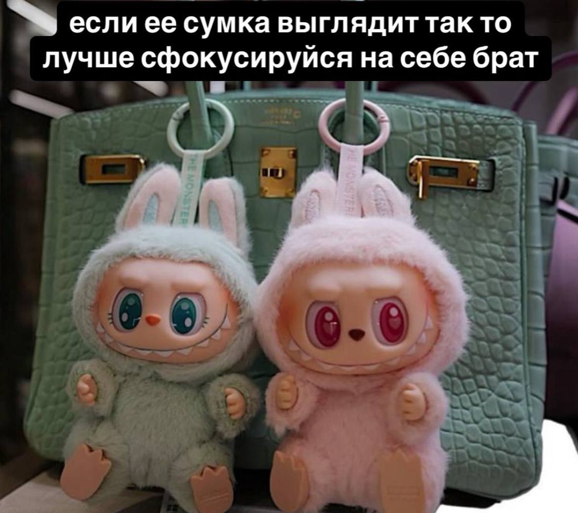 Если ее сумка выглядит так то лучше сфокусируйся на себе брат Мем про "если ее сумка выглядит так то лучше сфокусируйся на себе брат" на фоне дорогой сумки и игрушек-монстров