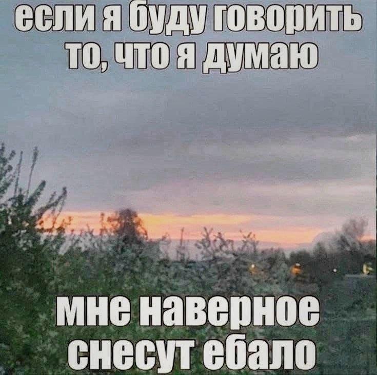 Если я буду говорить то, что я думаю Мем с фразой "Если я буду говорить то, что я думаю, мне наверное снесут ебало" на фоне пейзажа с кустарниками и небом.