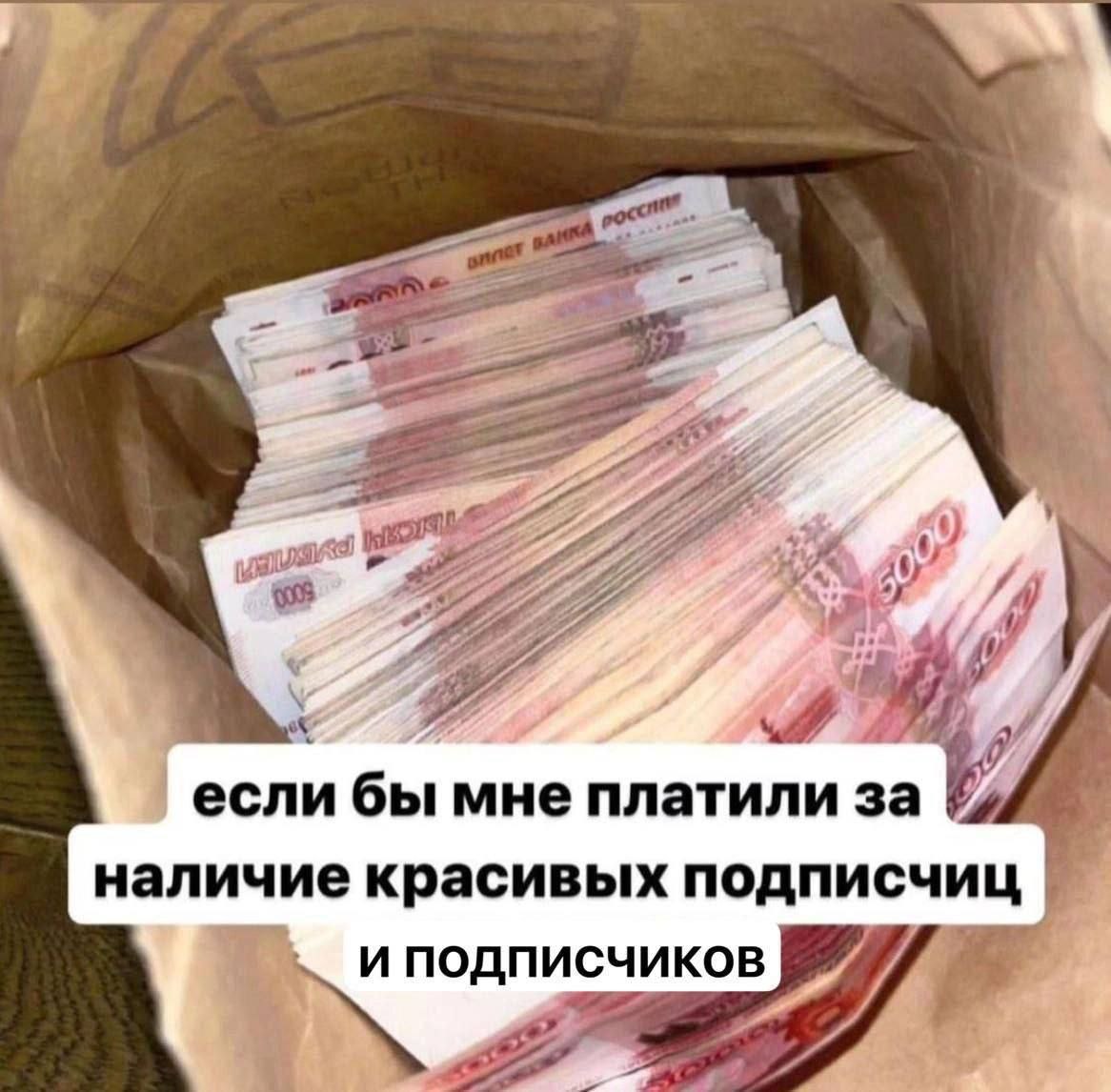 Если бы мне платили за наличие красивых подписчиц и подписчиков Мем, где пачки пятитысячных купюр лежат в пакете, а снизу надпись «Если бы мне платили за наличие красивых подписчиц и подписчиков».