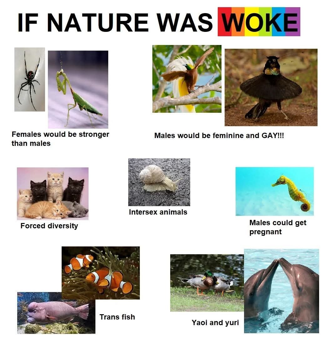 Сатирический коллаж «If nature was woke» о том, какой была бы природа, если бы её описывали современными социальными терминами