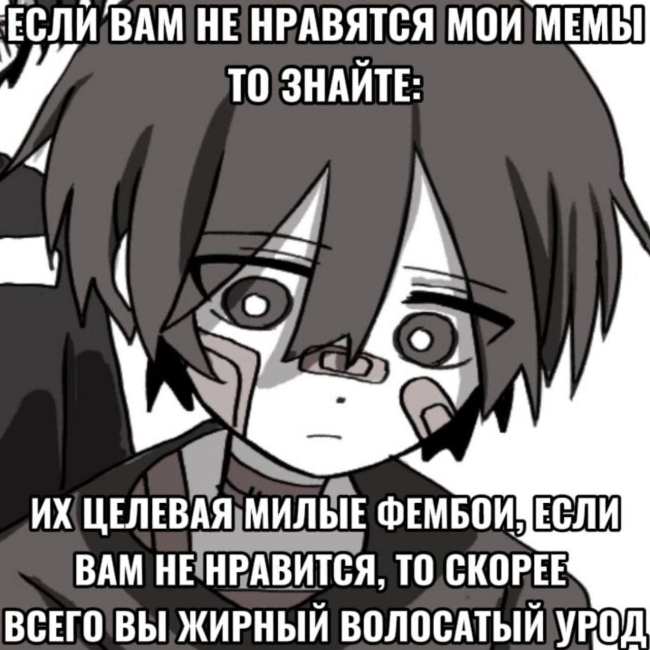 Если вам не нравятся мои мемы, то знайте: их целевая аудитория милые фембои, а если вам не нравится, то вы жирный волосатый урод