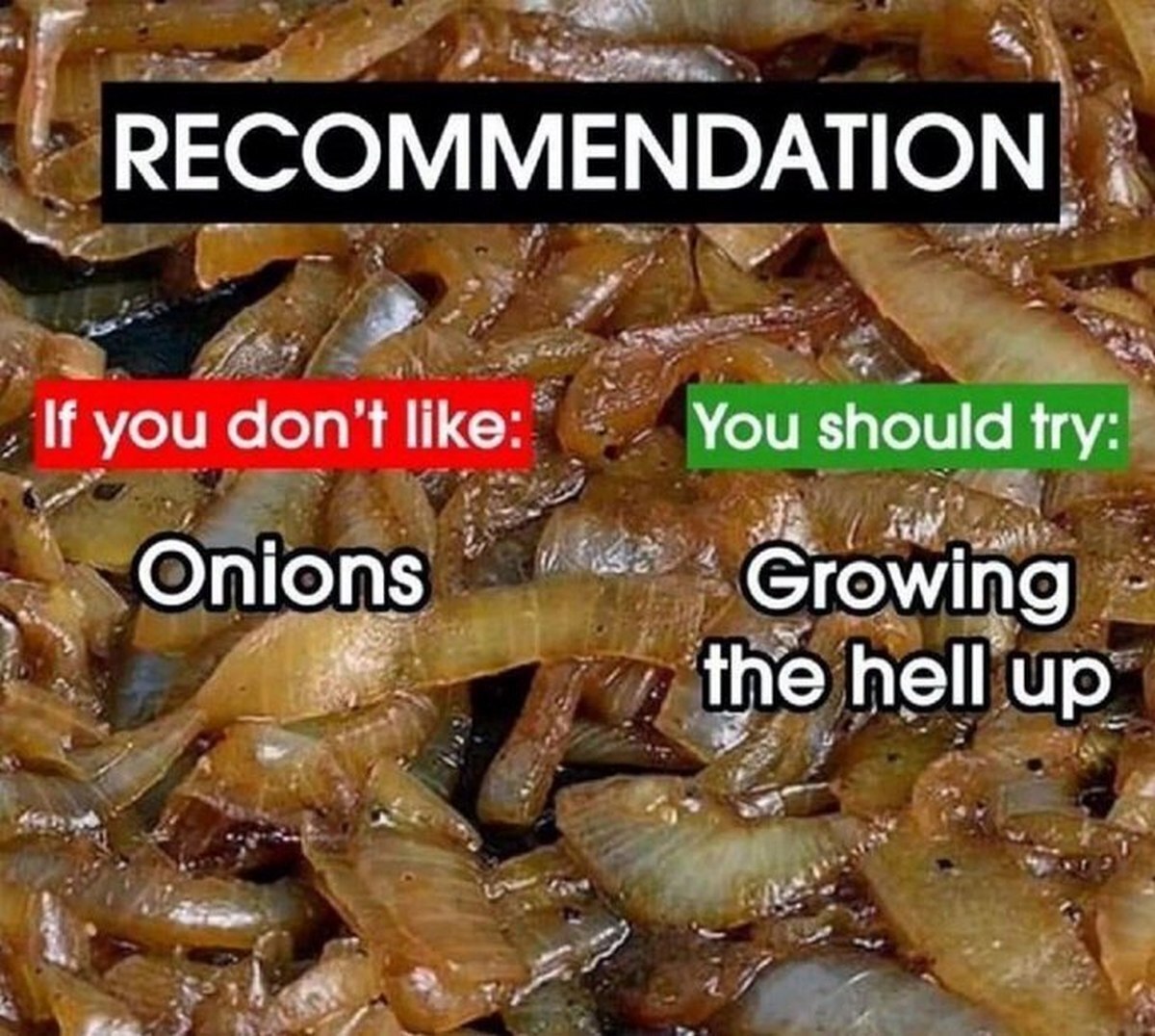 If you don't like onions you should try growing the hell up Мем про лук, рекомендации и взросление