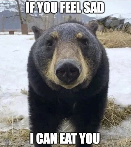 Медведь If you feel sad I can eat you Медведь утешает «Если тебе грустно, я могу съесть тебя»