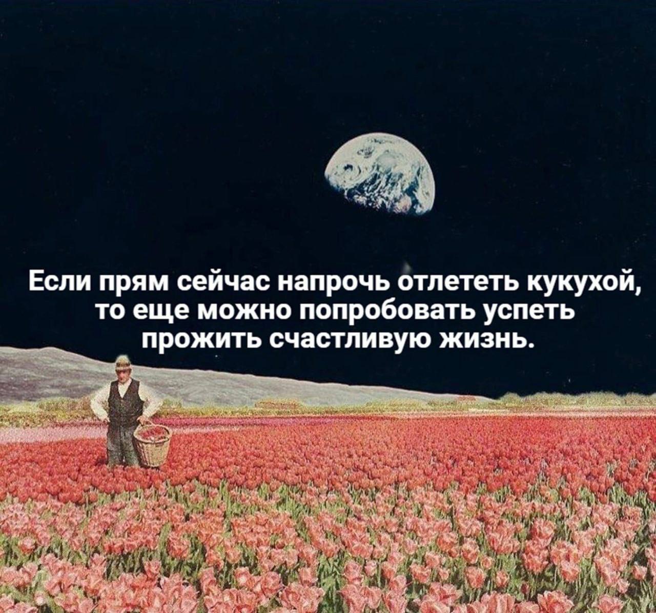 Если прям сейчас напрочь отлететь кукухой Мужчина в поле тюльпанов с Землей вместо Луны и надписью: Если прям сейчас напрочь отлететь кукухой, то еще можно попробовать успеть прожить счастливую жизнь.