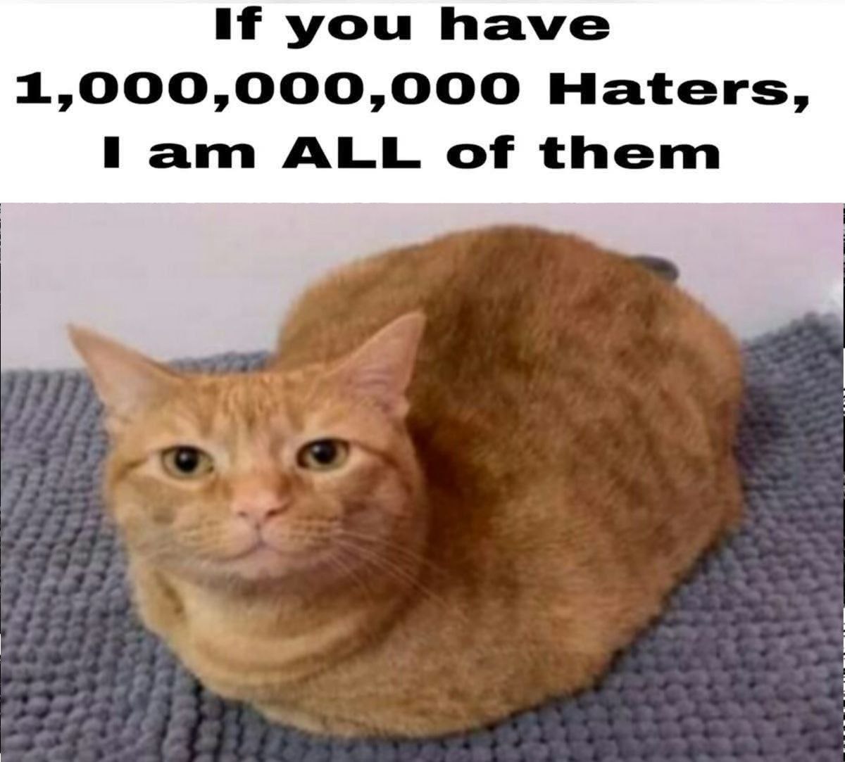 If you have 1,000,000,000 haters, I am ALL of them Рыжий кот с надписью «If you have 1,000,000,000 haters, I am ALL of them»