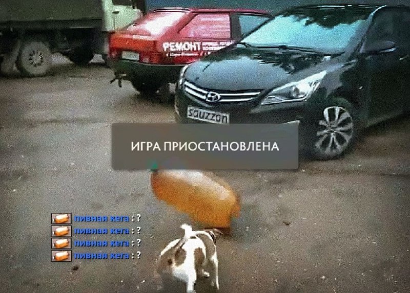 Игра приостановлена Мем с собакой, пивной кегой и надписью «Игра приостановлена»