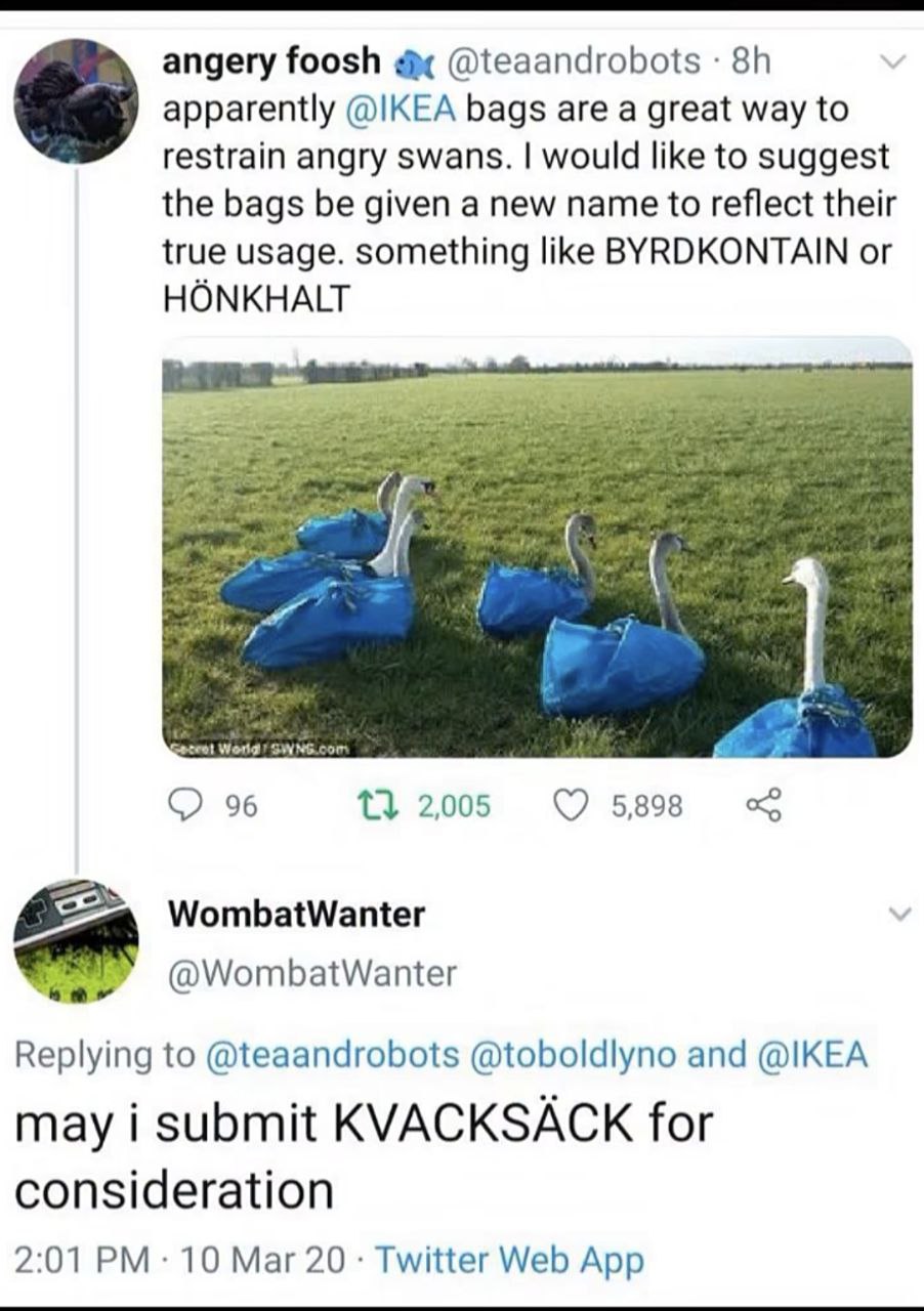 Лебеди в синих сумках IKEA и предложения новых названий BYRDKONTAIN, HÖNKHALT и KVACKSÄCK