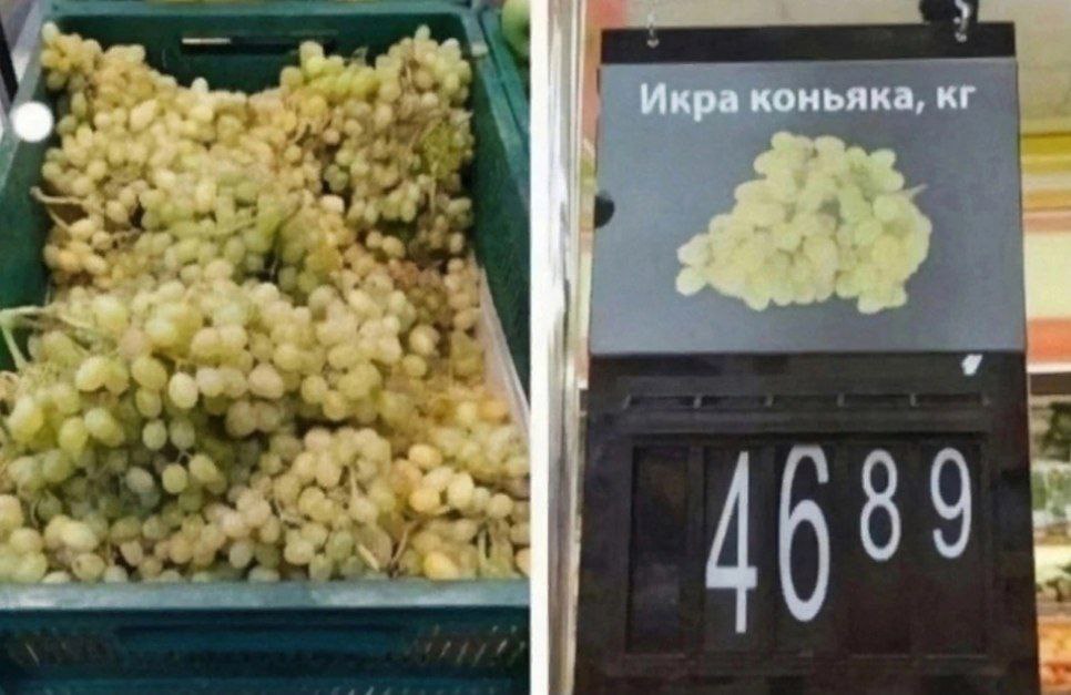 Икра коньяка Фотография ценника на виноград с надписью «Икра коньяка, кг»