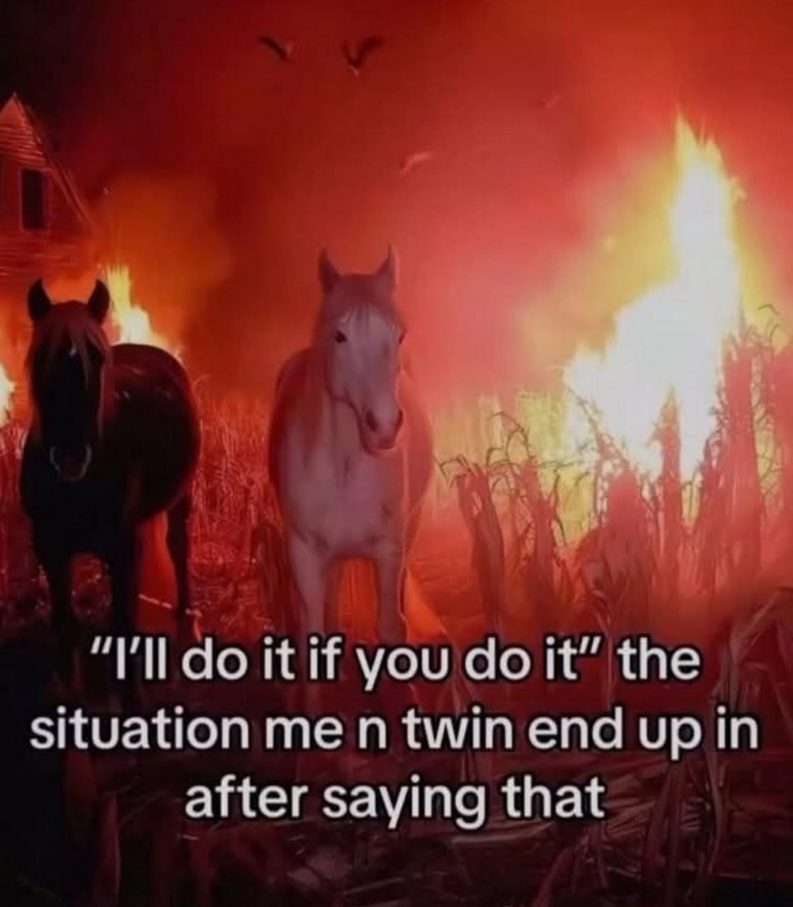 I’ll do it if you do it Horses in fire Мем с лошадьми на фоне горящего поля и фразой «I’ll do it if you do it»
