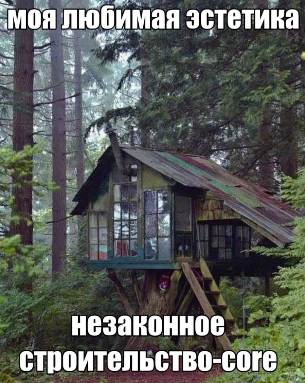 Моя любимая эстетика: незаконное строительство-коре Мем с изображением небольшого дома на дереве в лесу, под которым написано «Моя любимая эстетика: незаконное строительство-коре».