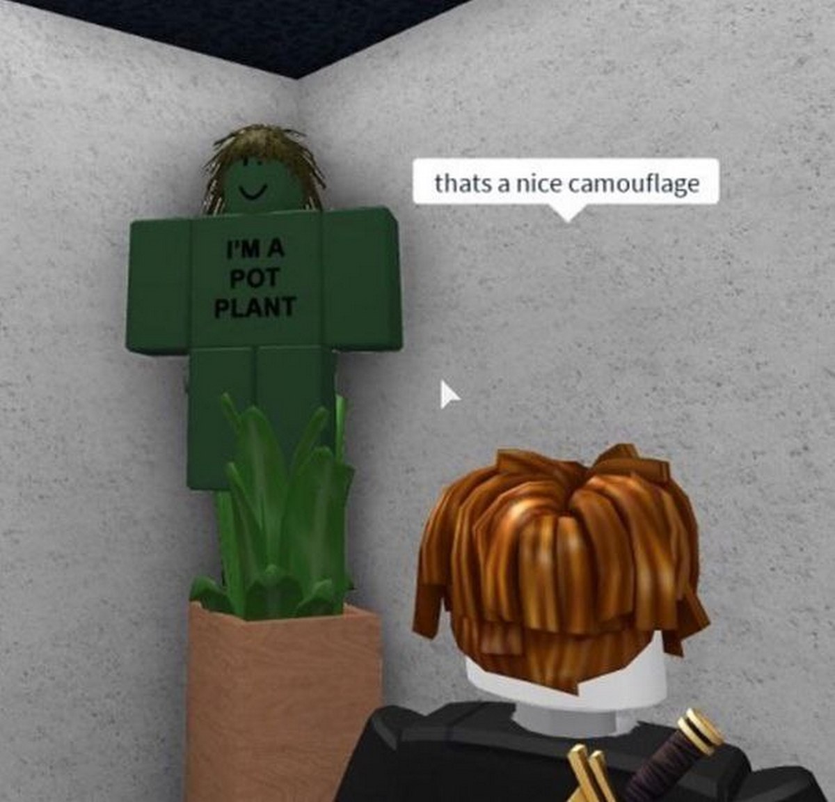 I'm a pot plant Roblox персонаж маскируется под комнатное растение, а другой говорит "thats a nice camouflage"