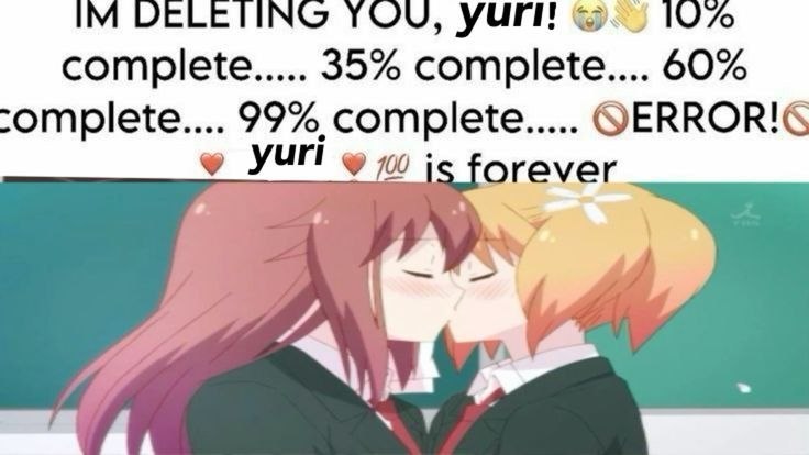 Мем с поцелуем двух девушек и надписью «IM DELETING YOU, yuri!», где удаление юри заканчивается ошибкой: yuri is forever.