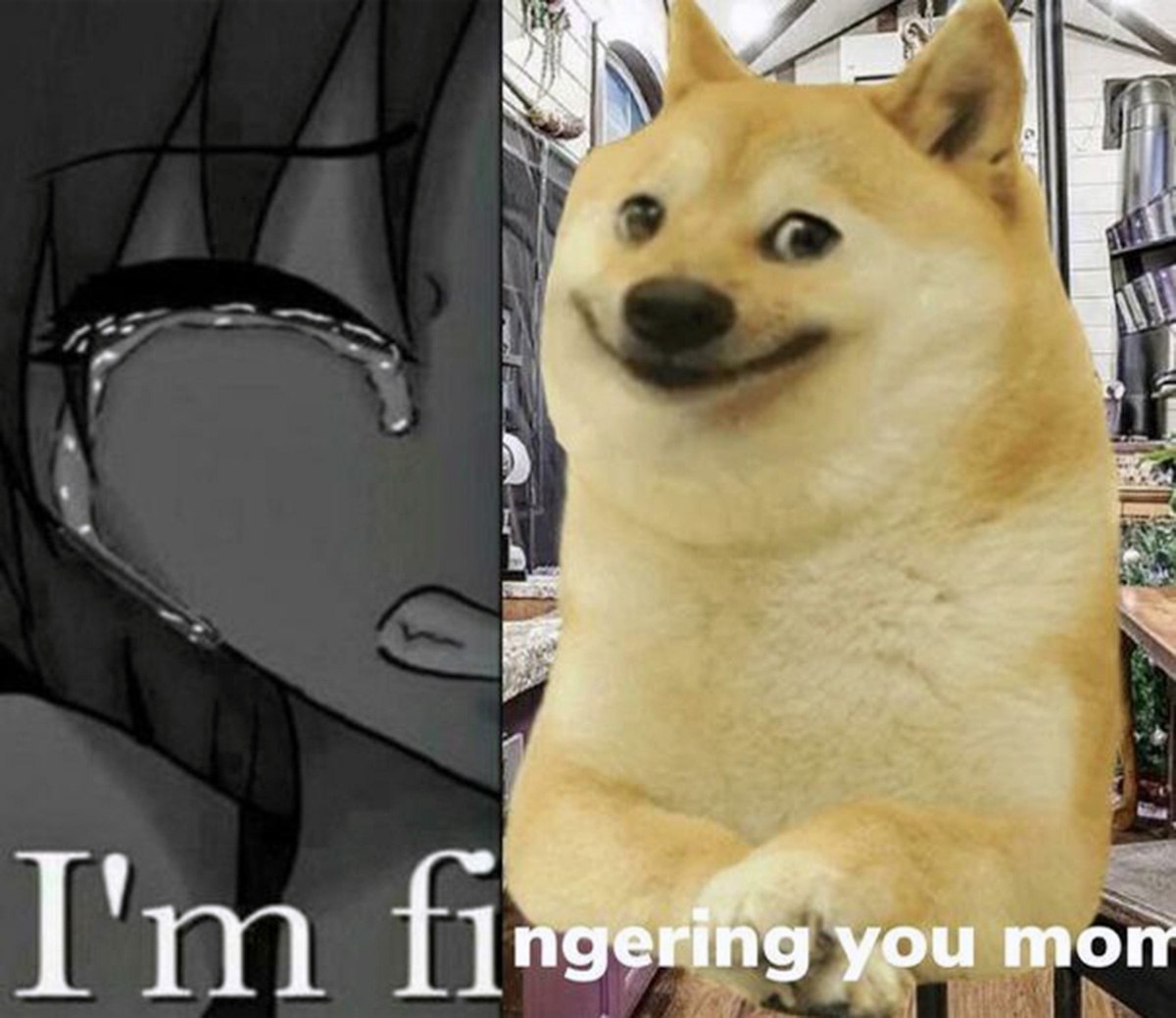 I'm fingering you mom Мем, где слева на черном фоне показано плачущее аниме-лицо, а справа собака породы сиба-ину с ухмыляющейся мордой. В нижней части картинки надпись: «I'm fingering you mom».