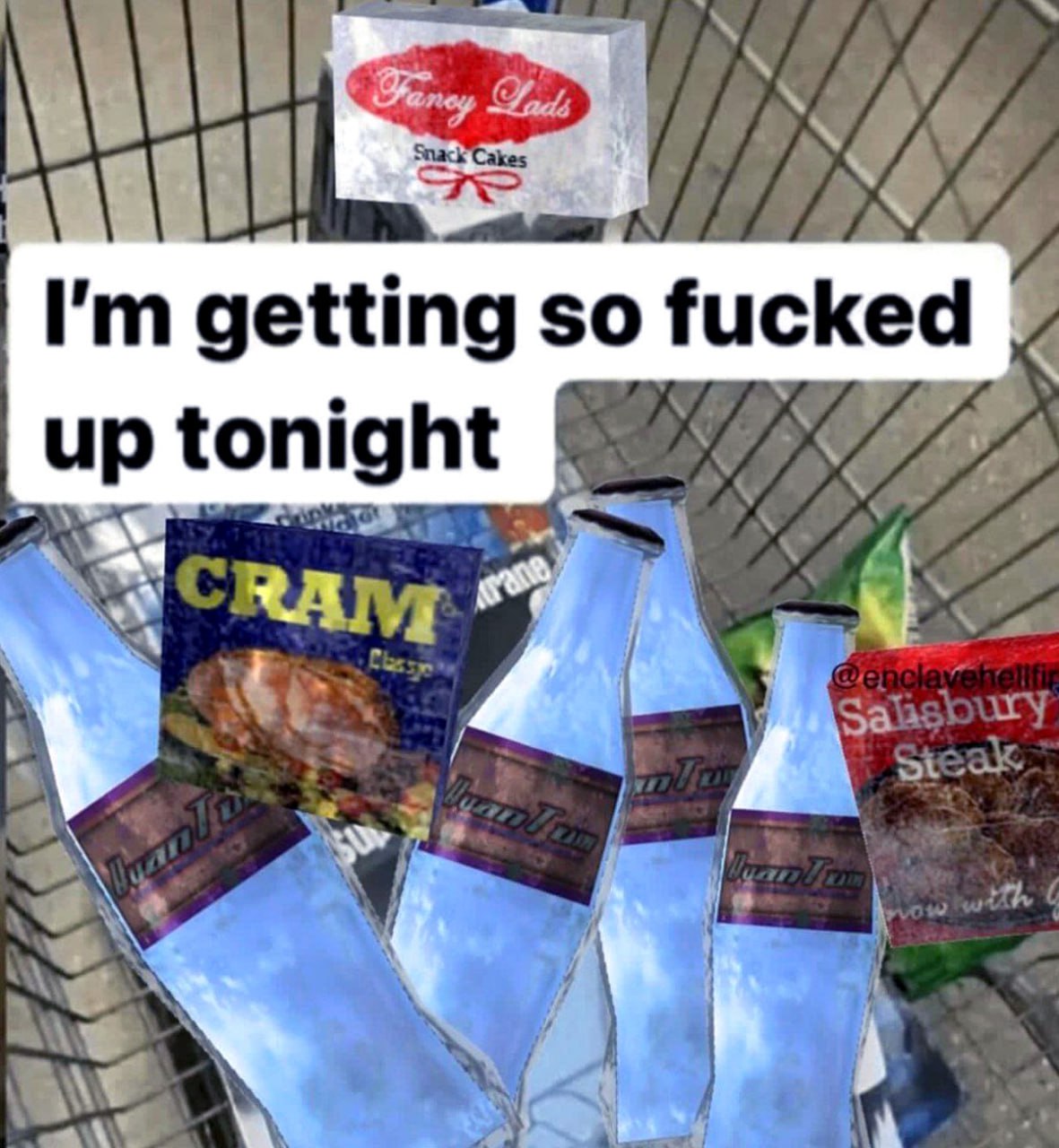 I'm getting so fucked up tonight Корзина с продуктами из Fallout и надпись "I'm getting so fucked up tonight"