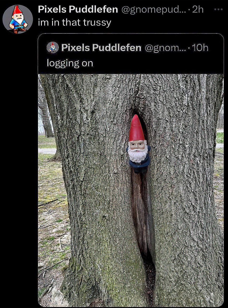 Im in that trussy гном в дереве Садовый гном выглядывает из расщелины в стволе дерева, сопровождаемый забавными подписями в твиттере: «logging on» и «im in that trussy».