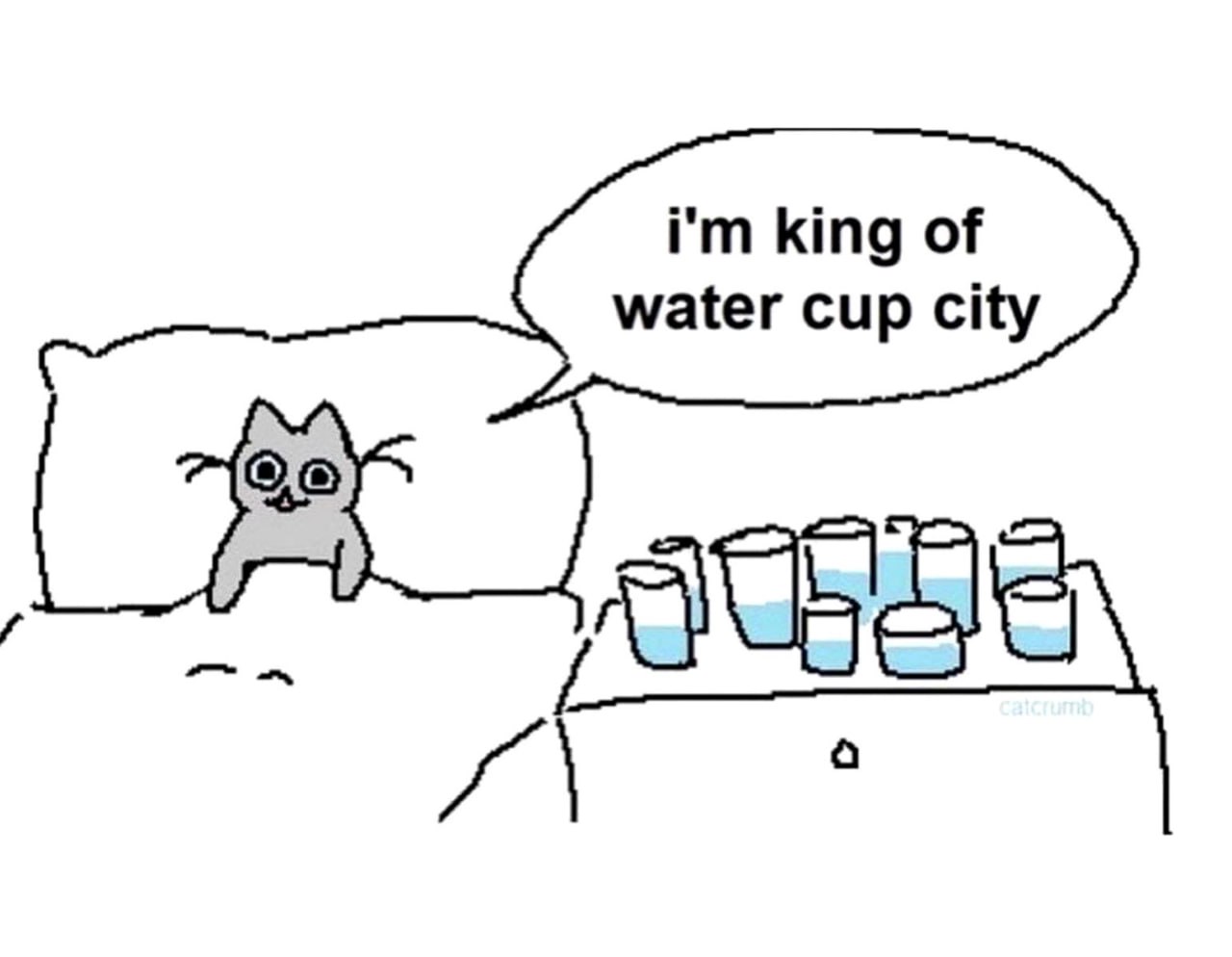 Кот в кровати i'm king of water cup city Кот сидит в кровати и говорит «я король города стаканов с водой», рядом с ним на тумбочке стоят стаканы с водой