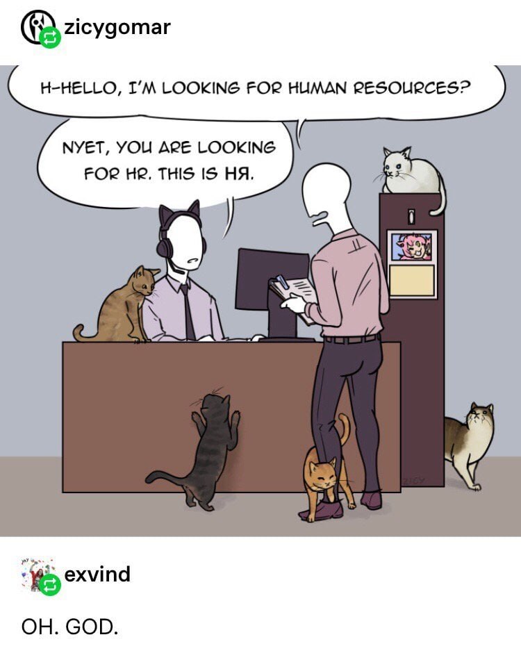 Человек ищет human resources, но попадает в кошачий офис, где его поправляют: это не HR, а HA