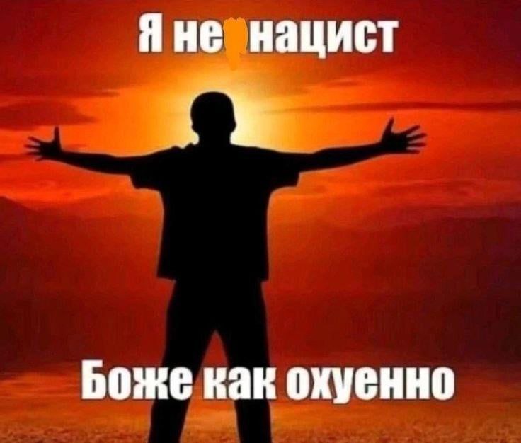 Я не нацист, Боже как охуенно Силуэт человека с раскинутыми руками на фоне заката с надписью «Я не нацист. Боже как охуенно»