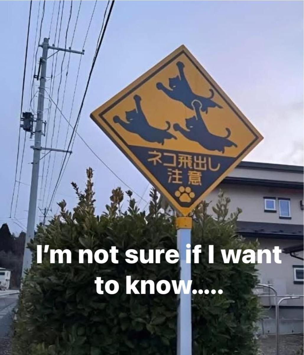 I'm not sure if i want to know Я не уверен, что хочу знать. Дорожный знак с летящими котами и надписью на японском