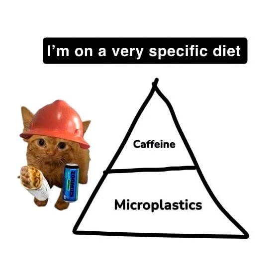 I'm on a very specific diet Кот в строительной каске и пирамида диеты с кофеином и микропластиком